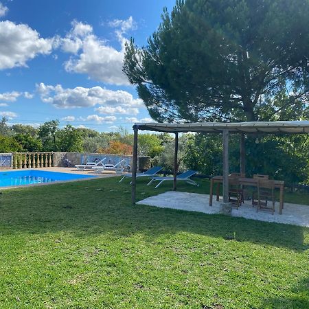 Casa Da Eira - Villas De Campo Феррейра-ду-Зезере Екстер'єр фото
